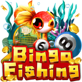 Câu Cá Bingo widd games