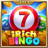 Bingo Irich widd game